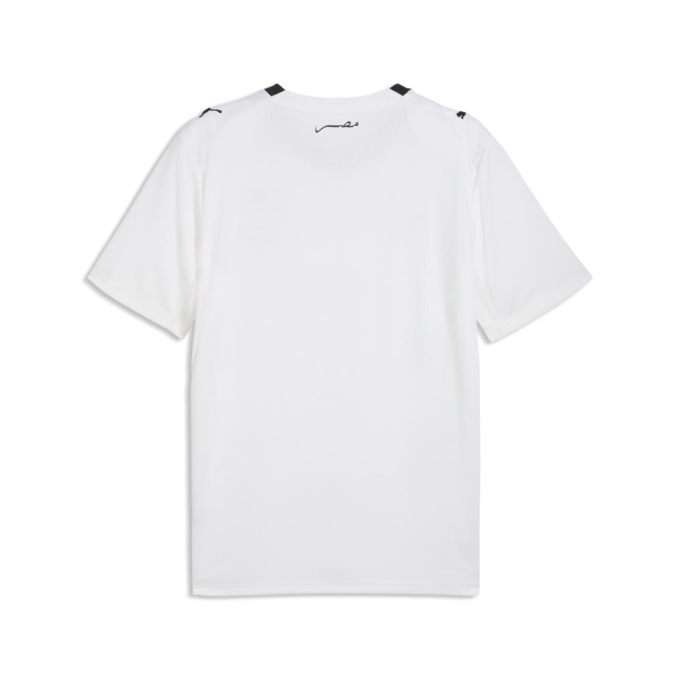Egypt 2026 Away Jersey Official Jerseys PUMA 